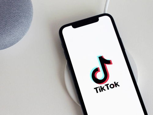 手机运营tiktok_TikTok促销与广告