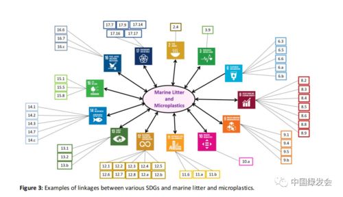 最新发布 联合国海洋垃圾及微塑料相关活动和倡议的概述 绿讯