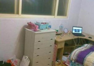 中国留学生韩国租房被坑惨 窗户打不开房子漏水