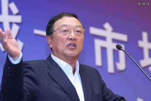 柳传志儿子柳林干什么的