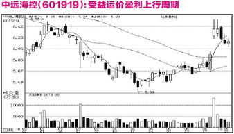 601919中远海控 停牌一个月了 何时复盘