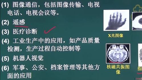 05 江苏专转本 专业课笔记 第五章 数字媒体与应用