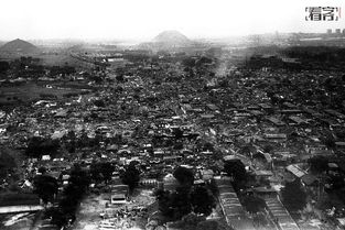唐山76年大地震死了多少人