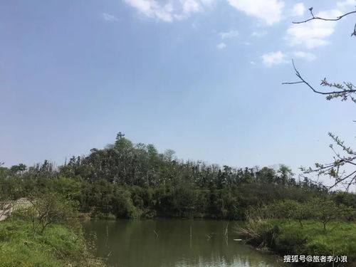 古镇 湖州德清一日游 新市古镇和下渚湖