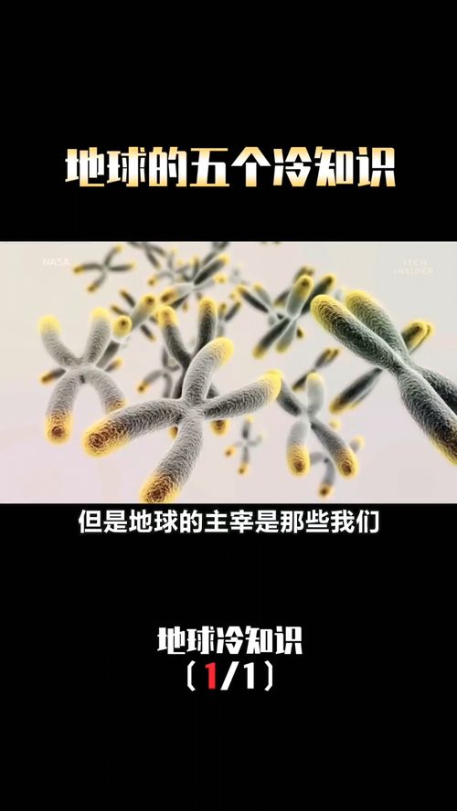 震惊世界的五个冷知识，震惊世界的五个冷知识是什么(有哪些令人震惊的冷知识)