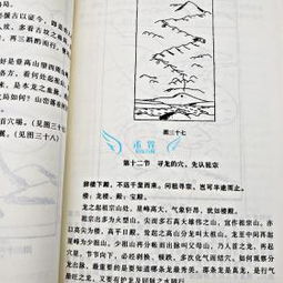 命理与风水全套基础知识(风水学入门基础知识)