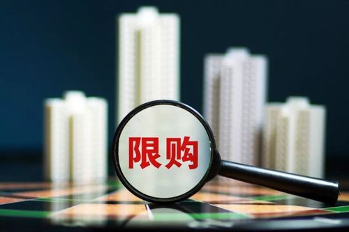 查重率过低：学术不端的警示信号