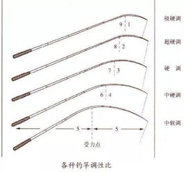 有多少人钓了一辈子鱼,至今不知道啥叫37 28 46调鱼竿 