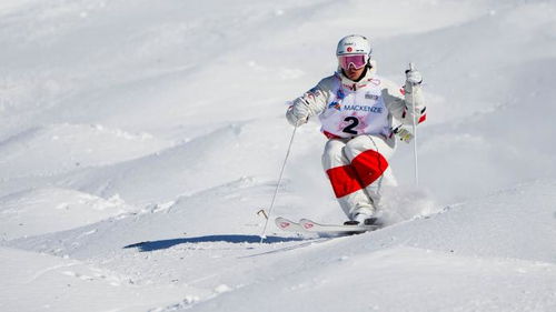 冬奥自由式滑雪雪上技巧开赛,中国选手李楠暂列第19位