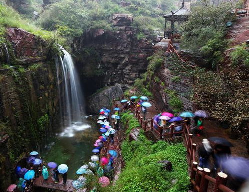 云台山景区大门在哪里(包含云台山景区停车场收费标准的词条)