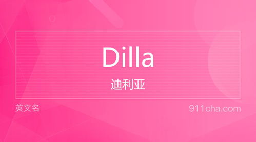 英文名Dilla 的意思 性别含义寓意及印象是什么 英文名 911查询 