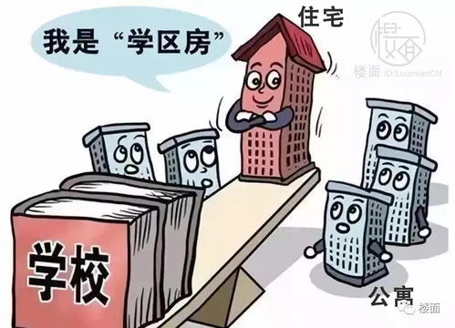 无数人说公寓不能买,但都没说到点子上 