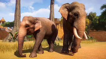 动物园之星怎么养大象 大象培养心得分享