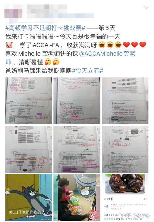 高顿财经的ACCA怎么样？