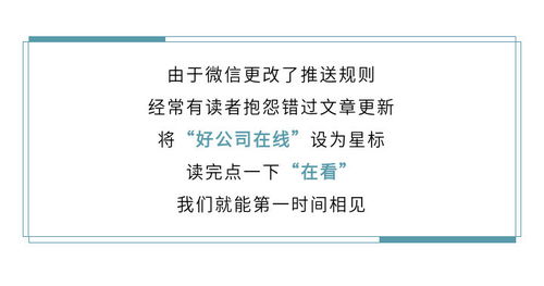 如何查询一个上市公司的营业额？