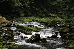 山间流水