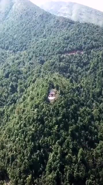 神秘土豪在深山老林花五十万买的墓地,据说是个风水宝地,你看值吗 