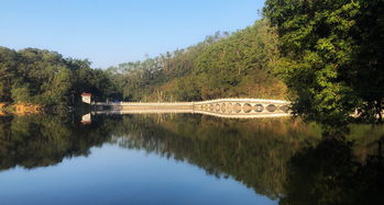 仙湖植物园哪里停车方便(深圳仙湖路有免费停车场吗)