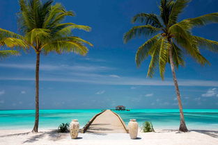 马尔代夫选岛新攻略，玩转海岛度假