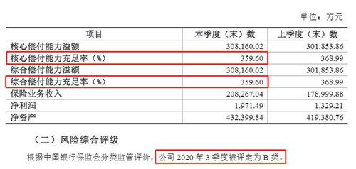 国任意外险1 3类怎么样