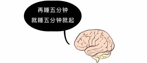 如果很困的情况下，怎样能不困？