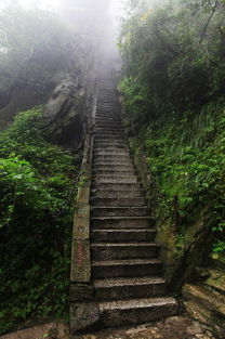 五岳之东岳泰山.西岳华山游记