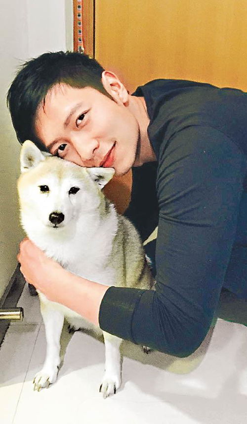 TVB首届港男冠军高钧贤爱犬离世,为纪念对方,将其骨灰制成水晶