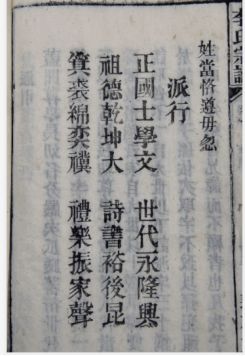 老桐城李姓字派汇编