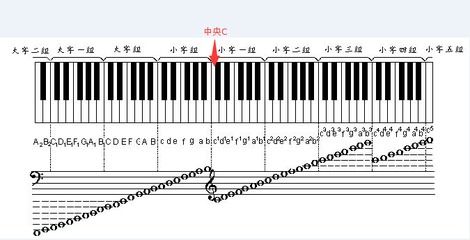 学钢琴入门和基础知识