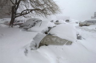 雪灾的分类正确的一组是 