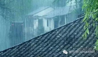 梅雨 江南