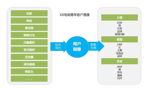 图标用户画像怎么弄好看，用户画像的用户标签怎么建立(用户画像和用户标签的关系?)