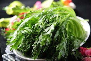 这种有 臭味 的蔬菜在古代是贡菜 养脾胃 护血管,好处真不少