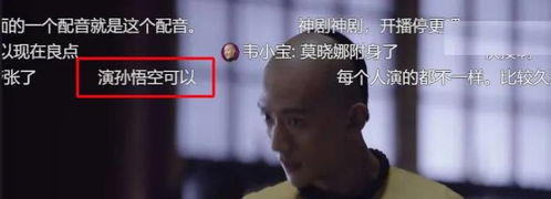 耍猴还是耍观众 韦小宝浮夸造作,看新 鹿鼎记 整个人都不好了