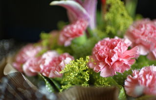 5月14母亲节,母亲节送几朵康乃馨 