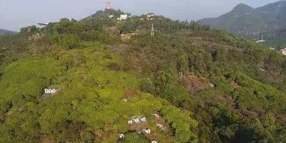 广东一森林公园竟现数十座坟墓,村民 老坟就在这,家人去世都要葬在一起