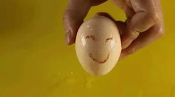 科学小实验 鸡蛋在微笑