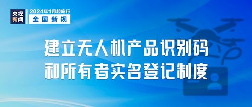 定稿后查重：确保SEO和内容质量的双赢策略