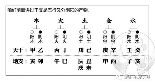 如何运用天干,找到 最原始的自己 