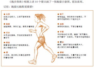 跑步指南 文摘 正确的跑步姿势是怎么样的 