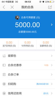 我的京东白条才5000元,能购物吗 