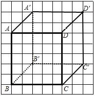 在方格纸上.利用平移画出长方形ABCD的立体图.其中点D 是D的对应点. 要求在立体图中.看不到的线条用虚线表示 题目和参考答案 青夏教育精英家教网 