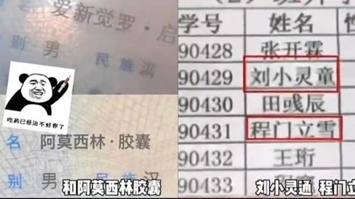 爆笑日常 现在给小孩取名字都这么随意了吗 