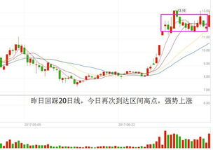 2021年8月即将上市的股票