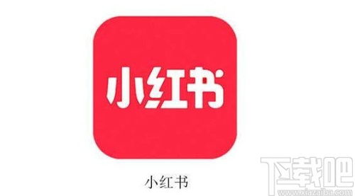 小红书app怎么清理缓存 小红书app清理缓存的方法步骤 