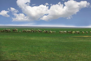 去科尔沁大草原怎么旅游