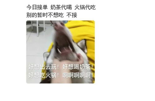 怎么发的朋友圈既可爱又沙雕