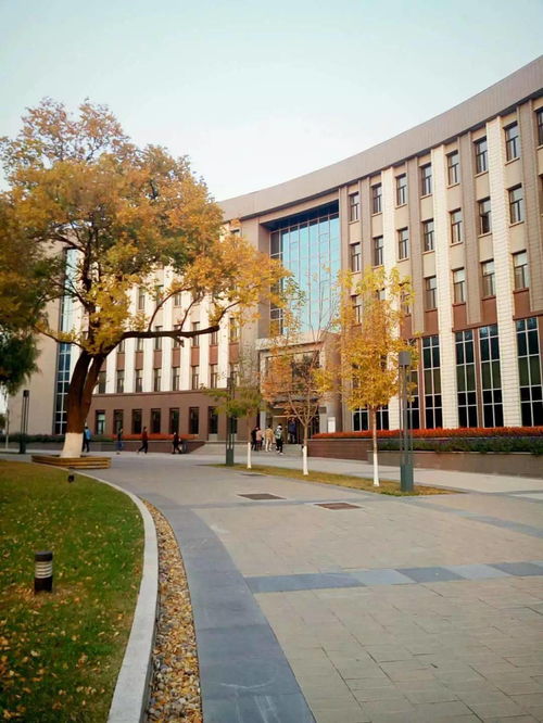 吉林建筑大学2020级研究生入学教育大会顺利举行