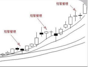 股票术语：股票整理是什么意思