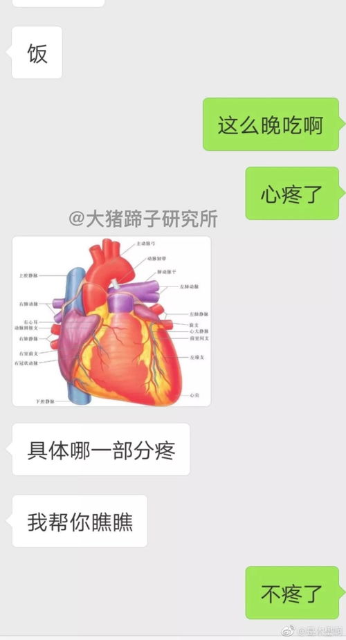 假如自己的对象是医学生, 是一种怎么样的体验呢